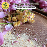  Trà Gạo Sen Bách Diệp Tây Hồ - Travina - Trà Thái Nguyên Cao Cấp Đạt Tiêu Chuẩn VietGap, ISO 