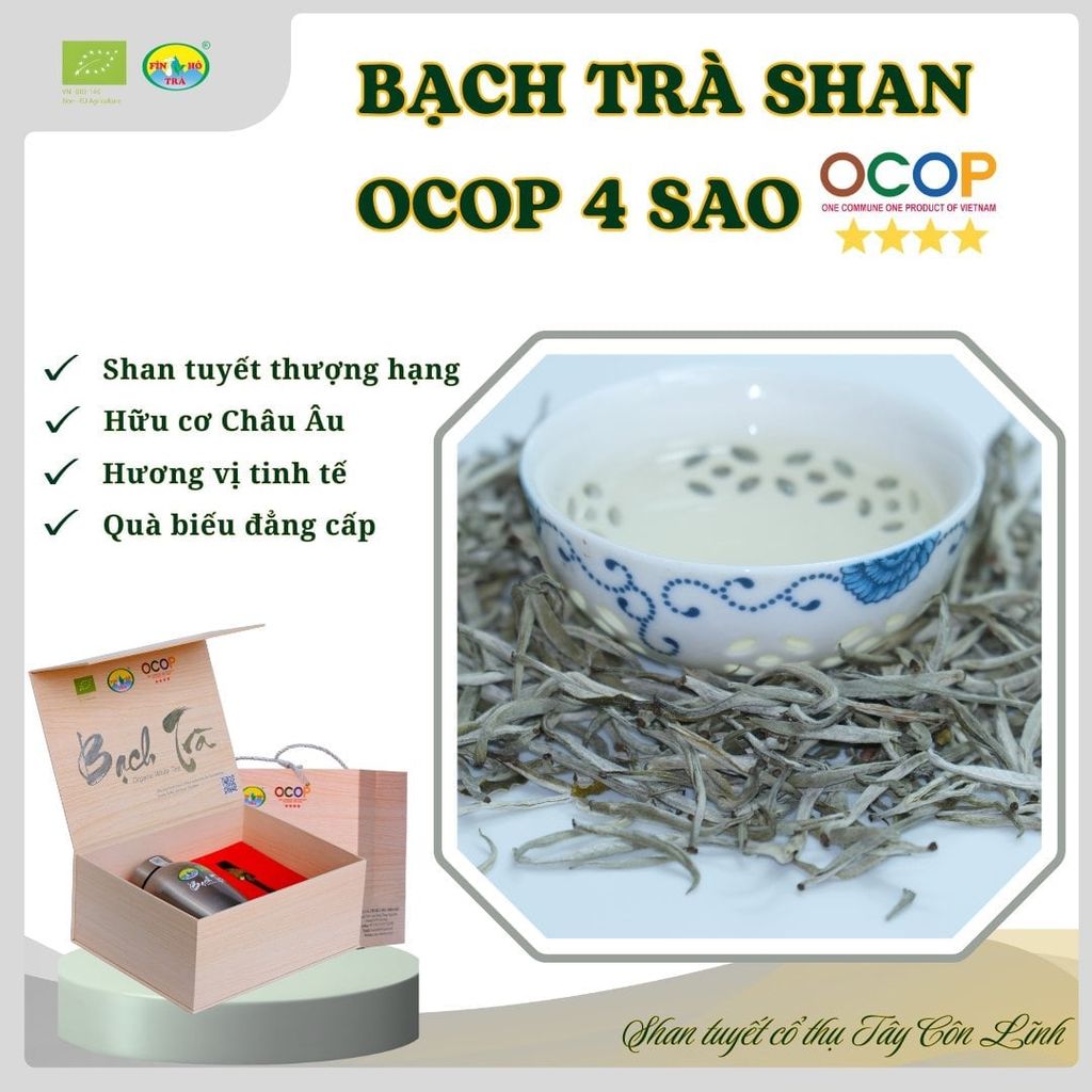  Bạch Trà Shan OCOP 4 Sao – Hộp Quà Hữu Cơ EU 