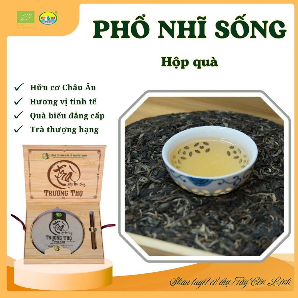  Bánh Phổ Nhĩ Sống Vụ Xuân 2023 – Shan Tuyết Cổ Thụ 357g 