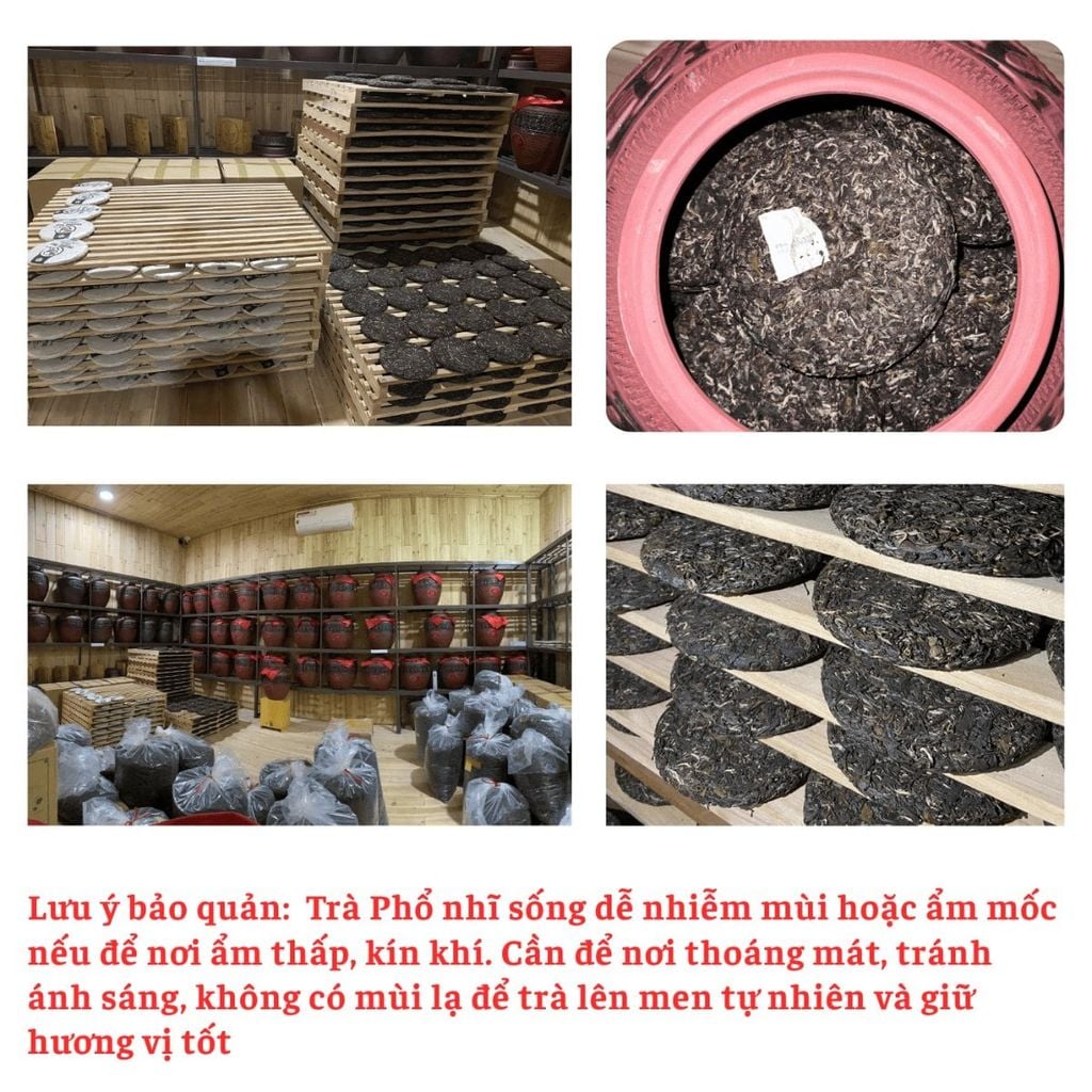  Bánh Phổ Nhĩ Sống Vụ Xuân 2024 – Shan Tuyết Cổ Thụ 357g 