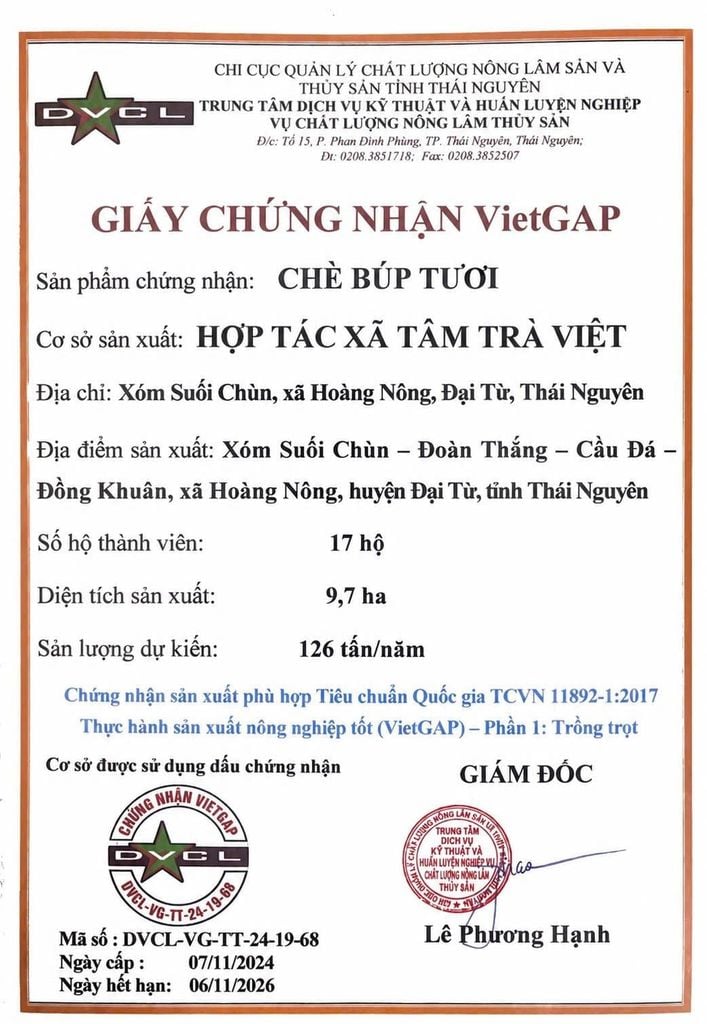  Trà Nõn Tôm Cánh Hạc Thái Nguyên – Trà Búp Hái Tay La Bằng, 1 Tôm 1 Nõn 