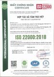  Kẹo Lạc Trà Xanh - Món Nhâm Nhi Cùng Ấm Trà 