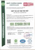  Combo Trà Cao Cấp – 100g Trà Đinh Tiến Vua + 100g Trà Đinh Ngọc 