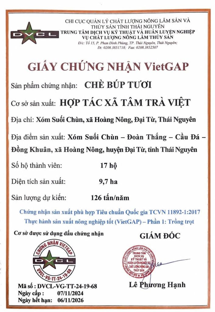  Hộp Trà Nõn Tôm Cánh Hạc 120g – Hộp Quà Nhỏ Gọn 