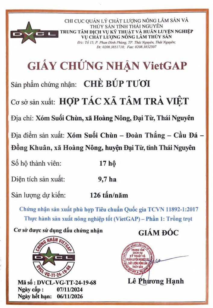 Hộp Trà Nguyên Hương – Hộp Trà Sạch 6 Không 