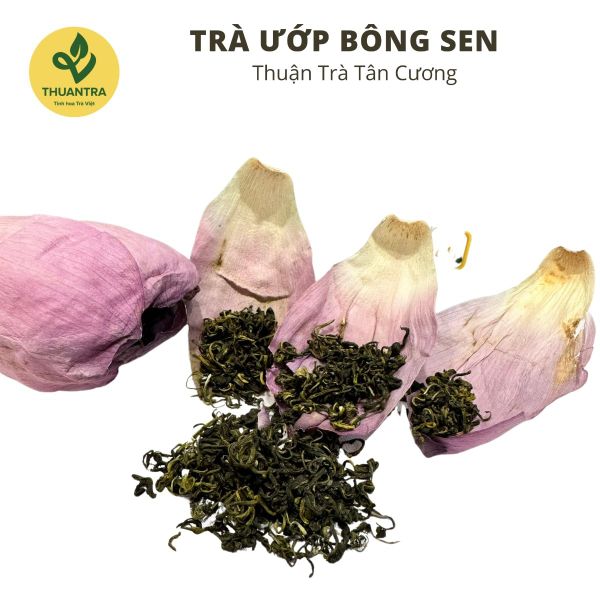 Combo Trà Hoa – Sen Tây Hồ, Hoa Nhài, Hoa Bưởi