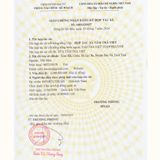  Hộp Trà Nõn Thượng Hạng 200g - Travina - Trà Thái Nguyên Cao Cấp Đạt Tiêu Chuẩn VietGap, ISO 