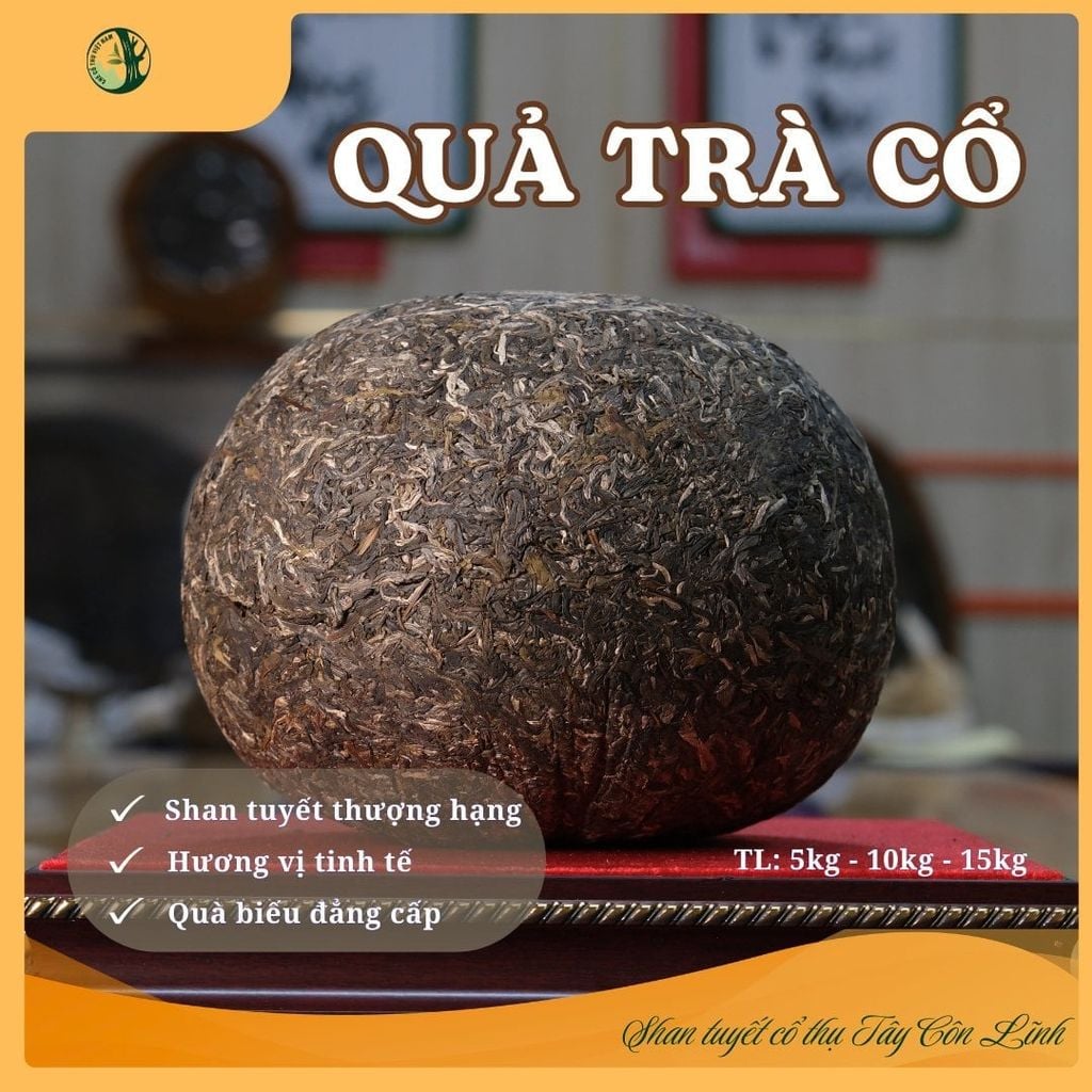  Quả Trà Cổ – Trà Phổ Nhĩ Sống Ép Khối 5kg, 10kg, 15kg 