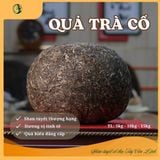  Quả Trà Cổ – Trà Phổ Nhĩ Sống Ép Khối 5kg, 10kg, 15kg 