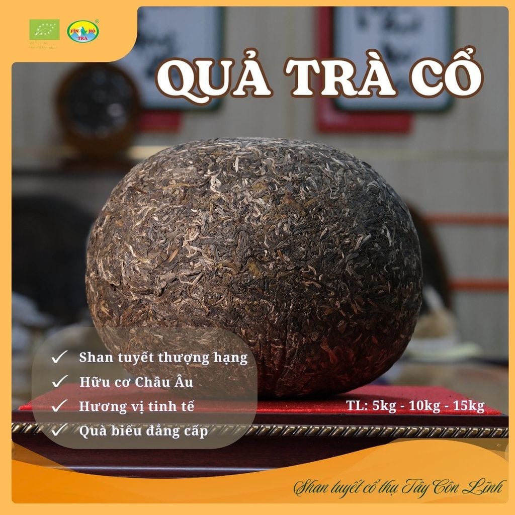  Quả Trà Cổ – Trà Phổ Nhĩ Sống Ép Khối 5kg, 10kg, 15kg 