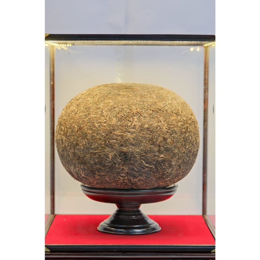  Quả Trà Cổ – Trà Phổ Nhĩ Sống Ép Khối 5kg, 10kg, 15kg 