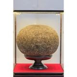  Quả Trà Cổ – Trà Phổ Nhĩ Sống Ép Khối 5kg, 10kg, 15kg 