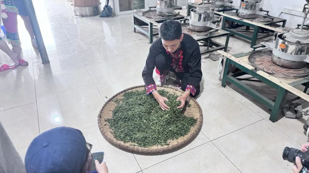  Trà Nõn Tôm Cánh Hạc Thái Nguyên – Trà Búp Hái Tay La Bằng, 1 Tôm 1 Nõn 