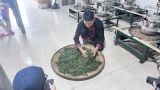  Trà Nõn Tôm Cánh Hạc Thái Nguyên – Trà Búp Hái Tay La Bằng, 1 Tôm 1 Nõn 