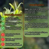  Set Quà Hồng Trà Túng Sán – Hộp Biếu Shan Tuyết Cổ Thụ 