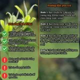  Set Quà Trà Móng Rồng Tây Côn Lĩnh – Hộp Biếu Cao Cấp 