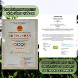  Set Quà Trà Shan Tuyết OCOP – Trà Xanh Và Hồng Trà 
