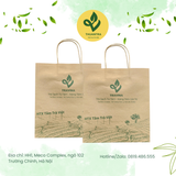  Túi giấy Travina - Túi đựng quà kraft 