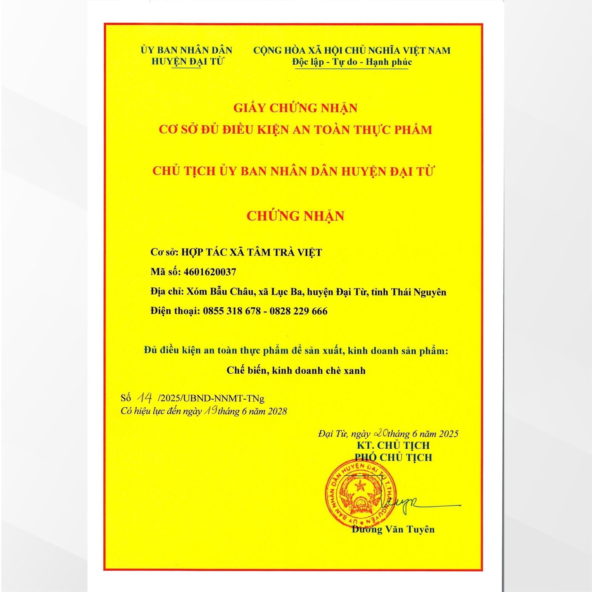  Trà Bắc Truyền Thống - Thuận Trà Thái Nguyên - Trà Thái Nguyên chuẩn VietGap 