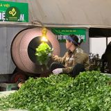  Trà Tấm Nõn - Travina - Trà Thái Nguyên Cao Cấp Đạt Tiêu Chuẩn VietGap, ISO 