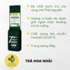  Trà Hoa Nhài – Trà Ướp Nhài Tươi, Hương Dịu Dễ Uống 