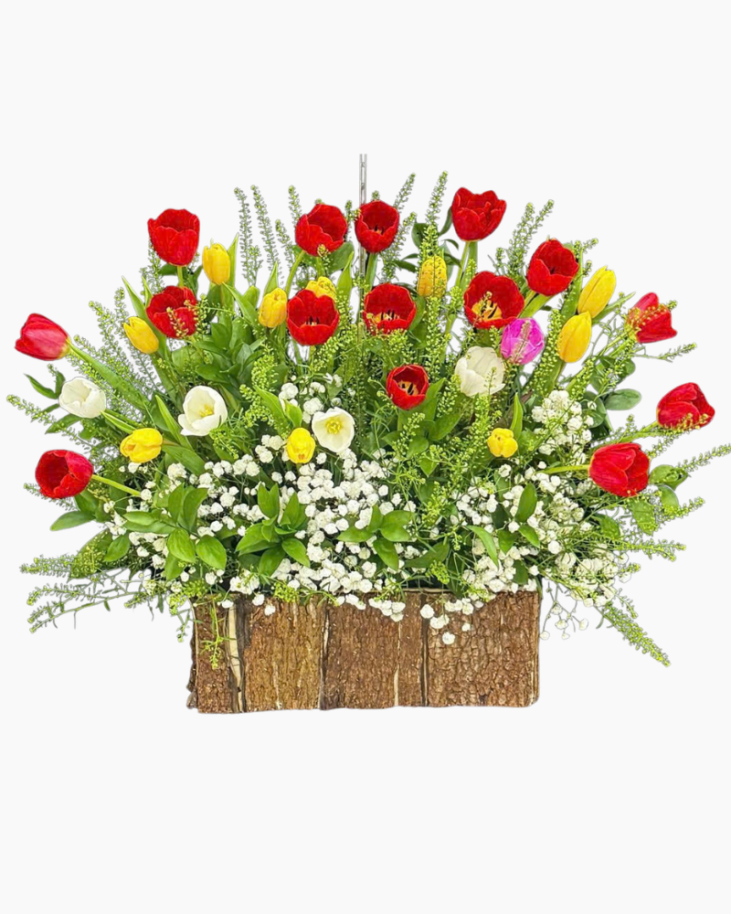  Hộp Hoa TULIP Sang Chảnh - HCH137 