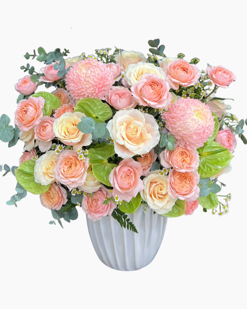  Hộp Hoa Nắng Hồng - HH147 