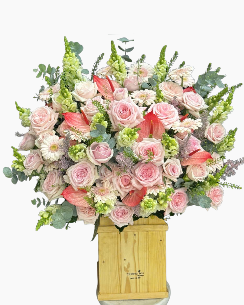  Hộp Hoa Thanh Xuân - HCH138 