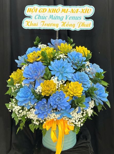 : Chậu Sen Đá Sắc Màu Hy Vọng - SD01