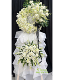  Vòng Tiếc Thương   - HTL186 