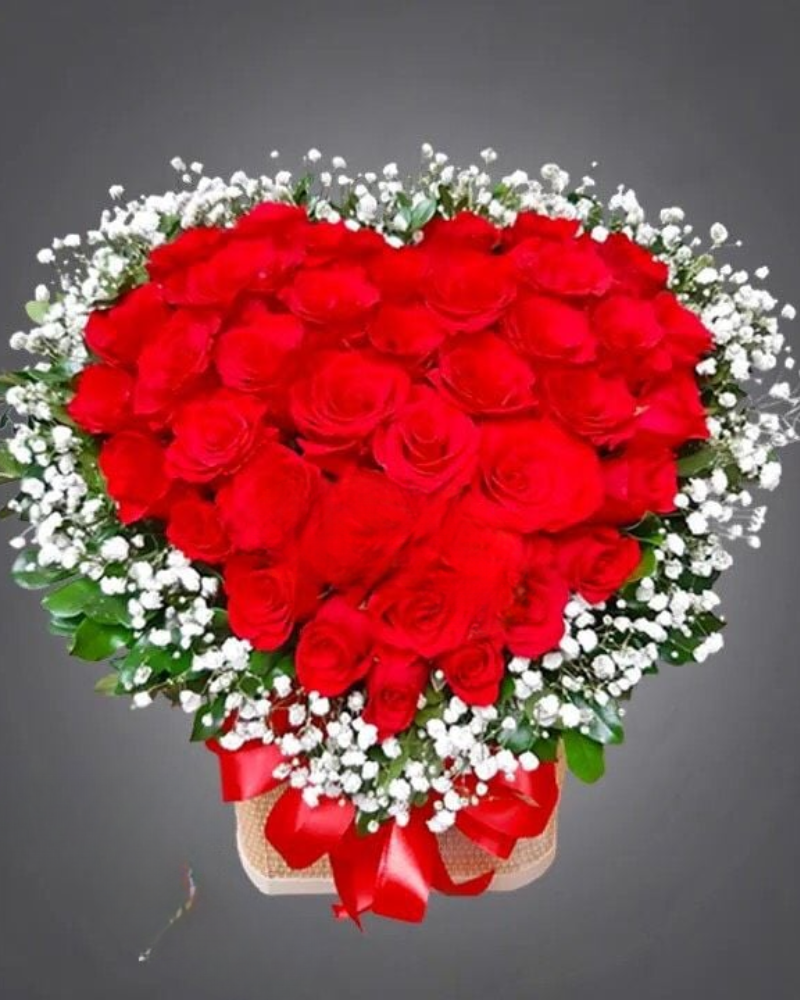  Sincere Heart - HG56 