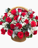  Hè Rực Rỡ - HG08 