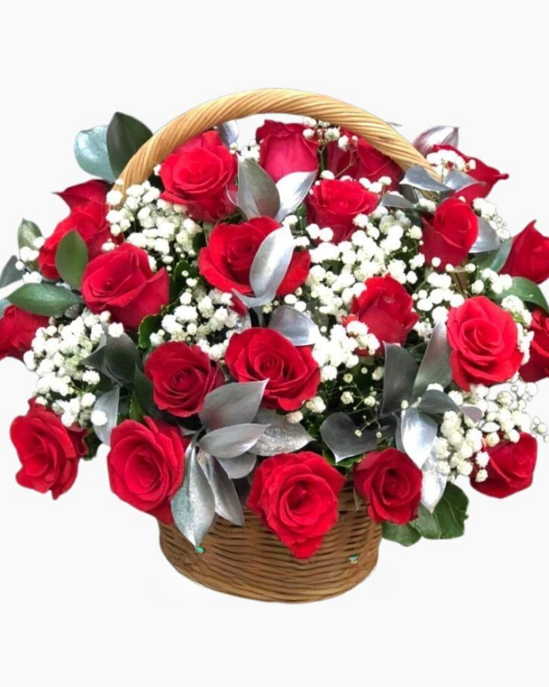  Hè Rực Rỡ - HG08 