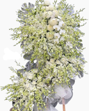  Suối Hoa Tiễn Biệt - HTL157 