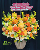  Hoa Hộp Ánh Cam - HH82 