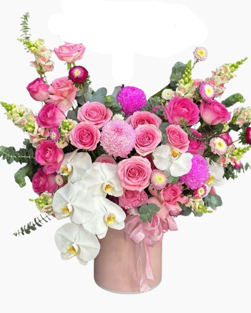  Hộp Hoa Hồng Phúc An Vui - Hoa 20/10 - HH56 