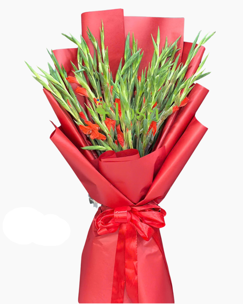 Bó Hoa Lay Ơn Đỏ - HBD322