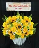  Hộp Hoa Mặt Trời  - HH133 