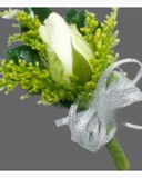  Hoa Cài Áo - CA012 