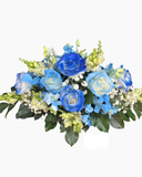  Biển Xanh Cơ Hội - BPB14 