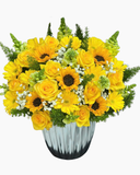  Hộp Hoa Mặt Trời  - HH133 