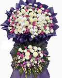  Lẵng Tím Thương Kính - HTL156 