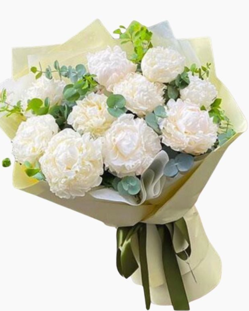  Bó Mẫu Đơn Trắng Tinh Khôi - HBD96 - Hoa 8/3 