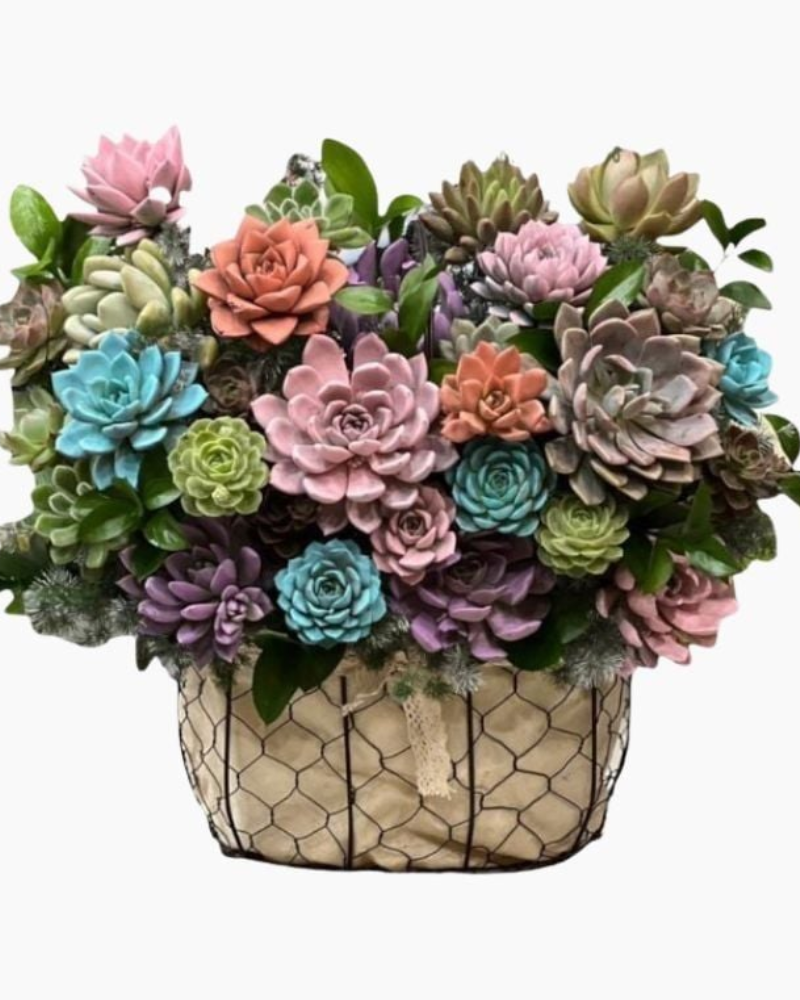  Giỏ Hoa Sen Đá - HG62 - Ngày Của Mẹ 