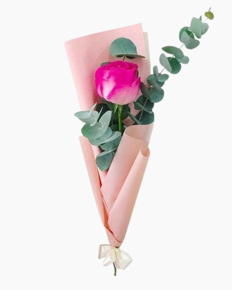  Thương Thương - HBD70 