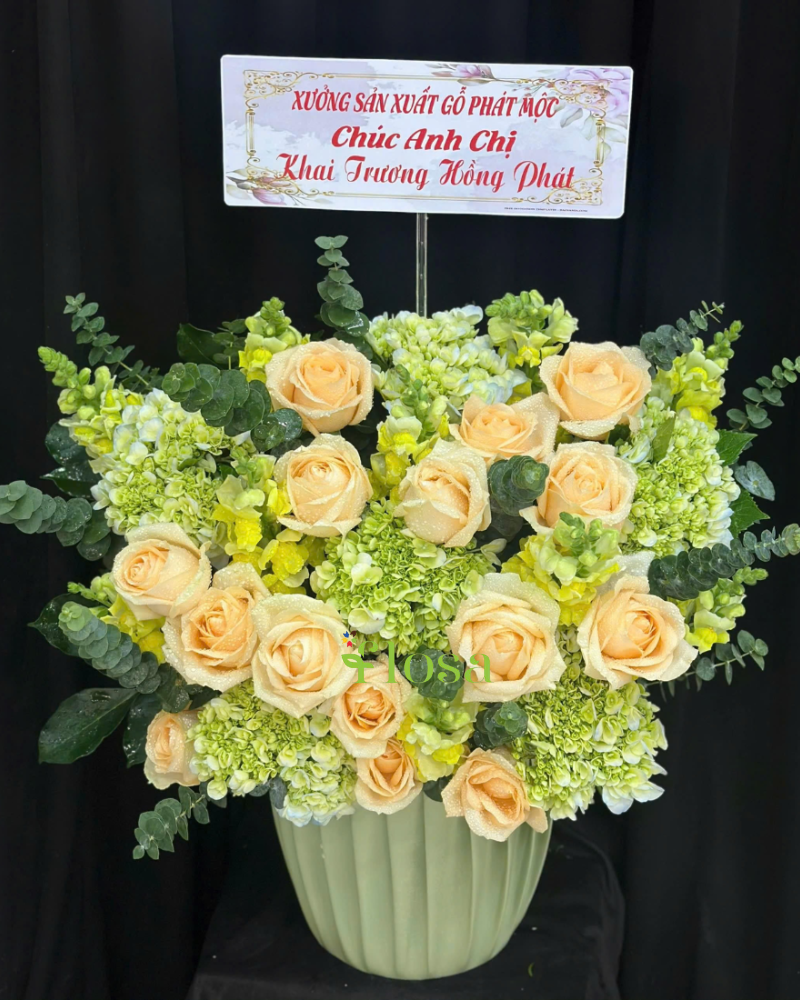  Hoa Hộp Hồng Cam-HH73 