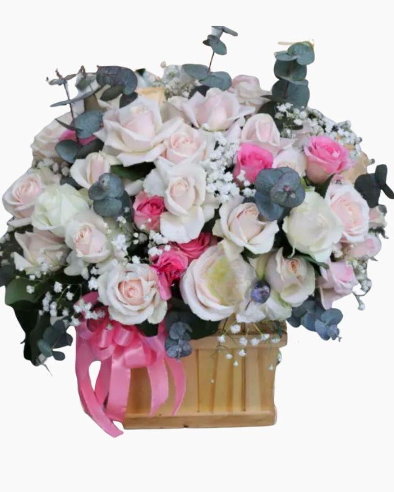  Hạnh Phúc - HCH51 