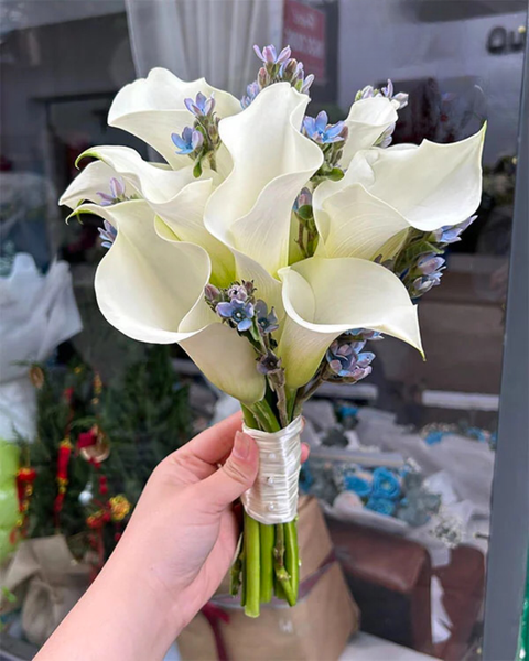 Mẫu Hoa Tươi Màu Trắng sang trọng, nhẹ nhàng, tinh khiết: bo-hoa-cuoi-cam-tay-whispers-of-the-heart-hc50