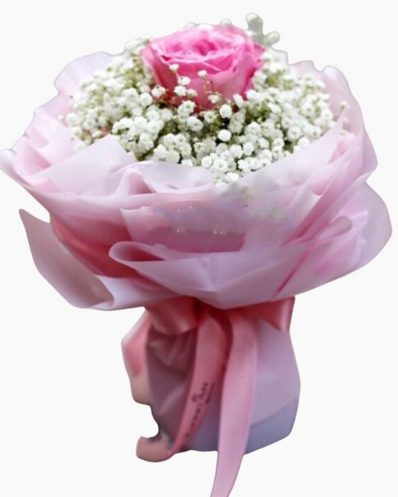  Chỉ Mình Em - HBT27 