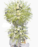  Thương Sâu Sắc - HTL149 